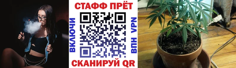Магазины продажи наркотиков Отрадная Псилоцибиновые грибы  Меф  Кокаин  ГАШИШ  kraken tor  Канабис 
