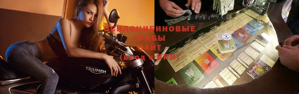 ГАЛЛЮЦИНОГЕННЫЕ ГРИБЫ Абдулино