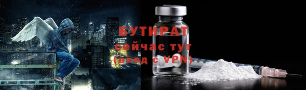 индика Инта