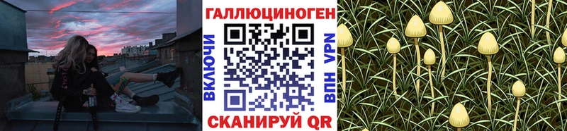 Псилоцибиновые грибы Cubensis  закладки  ссылка на мегу зеркало  Отрадная 